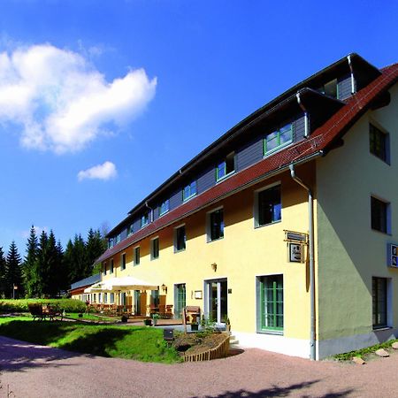 Waldhotel Am Aschergraben Geising ภายนอก รูปภาพ