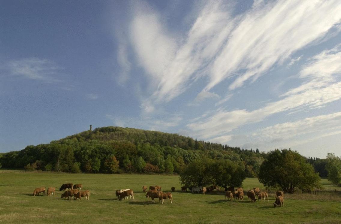 Waldhotel Am Aschergraben Geising ภายนอก รูปภาพ