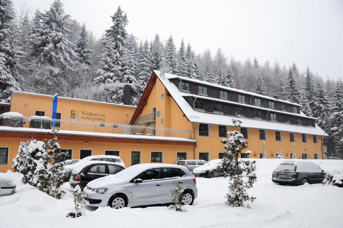 Waldhotel Am Aschergraben Geising ภายนอก รูปภาพ